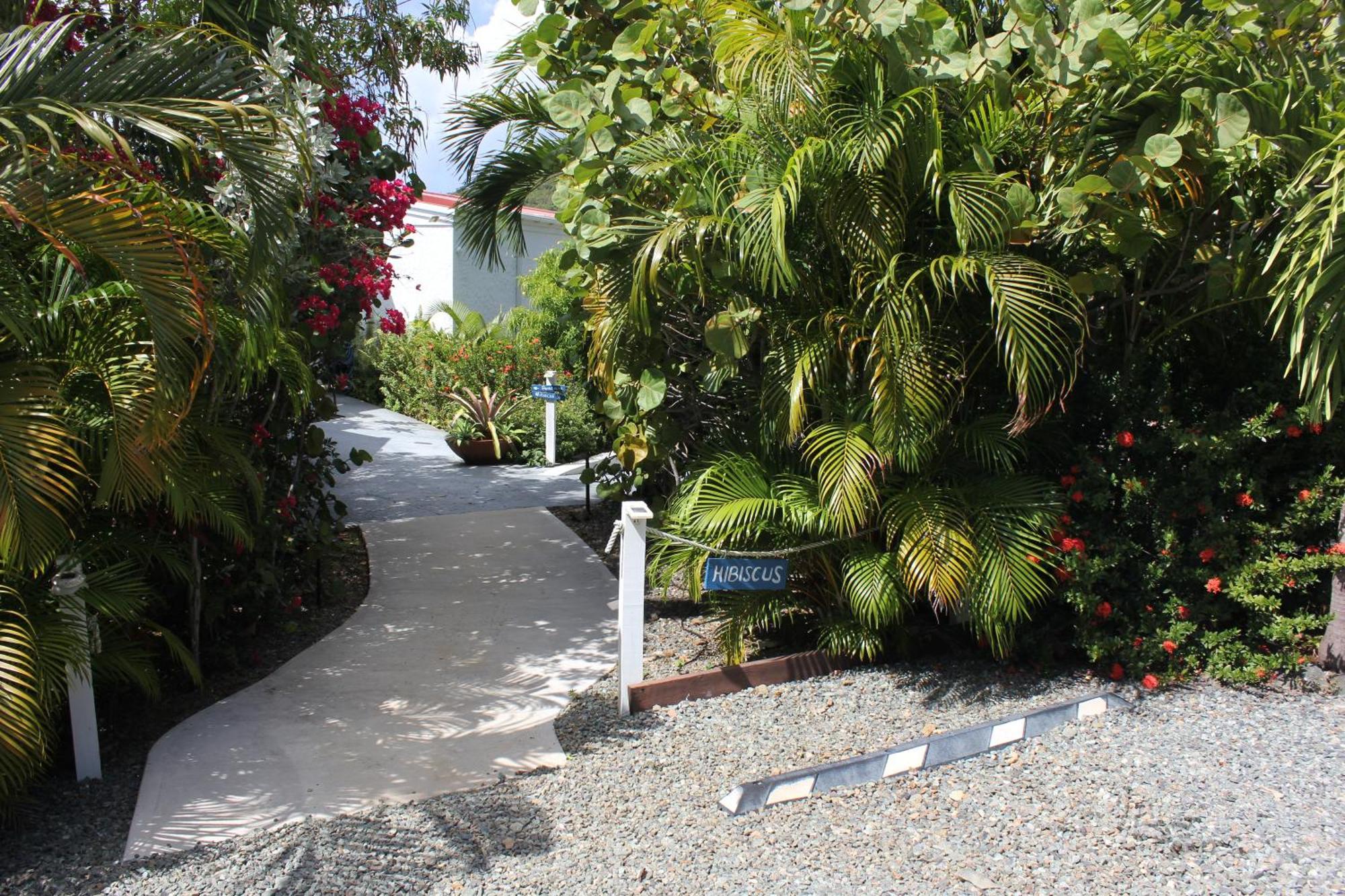Fantastic Penthouse At Sunset Serenade Suites Cruz Bay Bagian luar foto